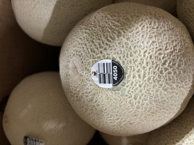 Cantaloupes and fruit were recalled due to salmonella. Image provided by the Canadian Food Inspection Agency